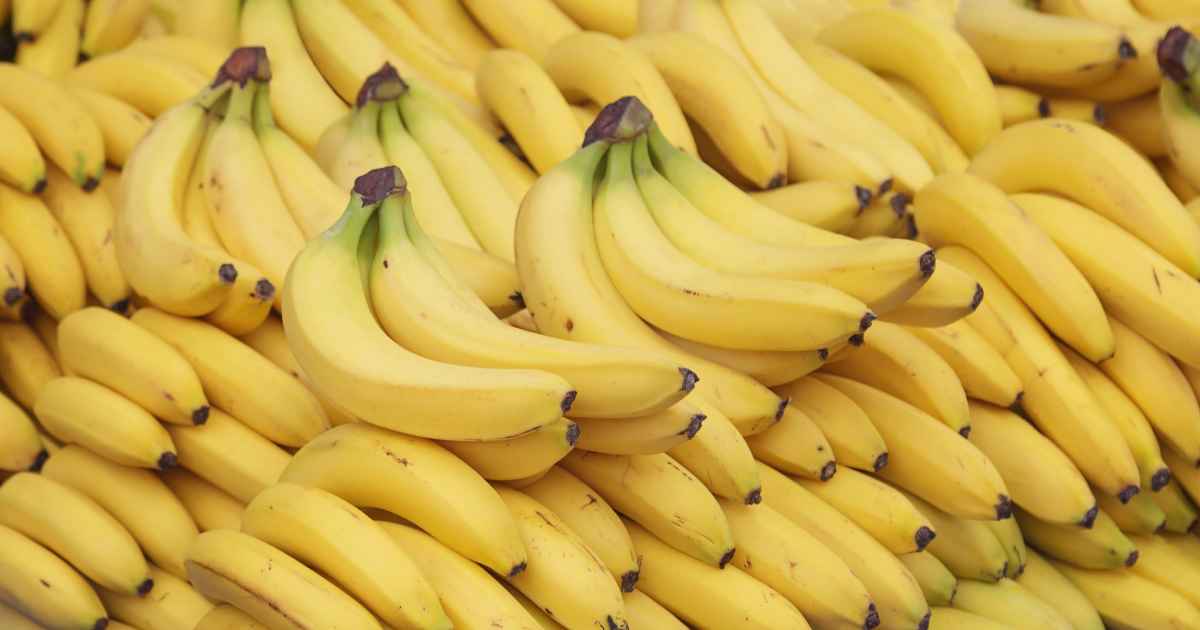 image of bananas