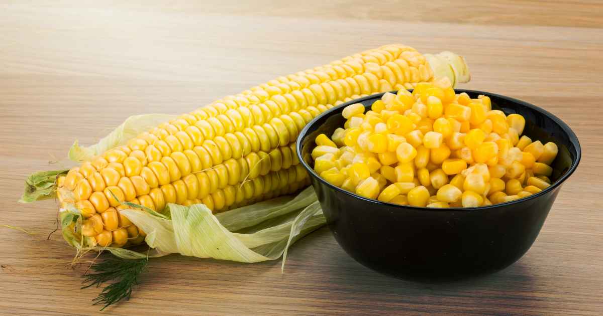 image of sweet corn